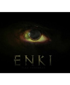 Enki Steam Key GLOBAL